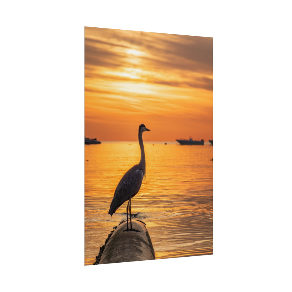 A Heron in Egypt Poster Printify