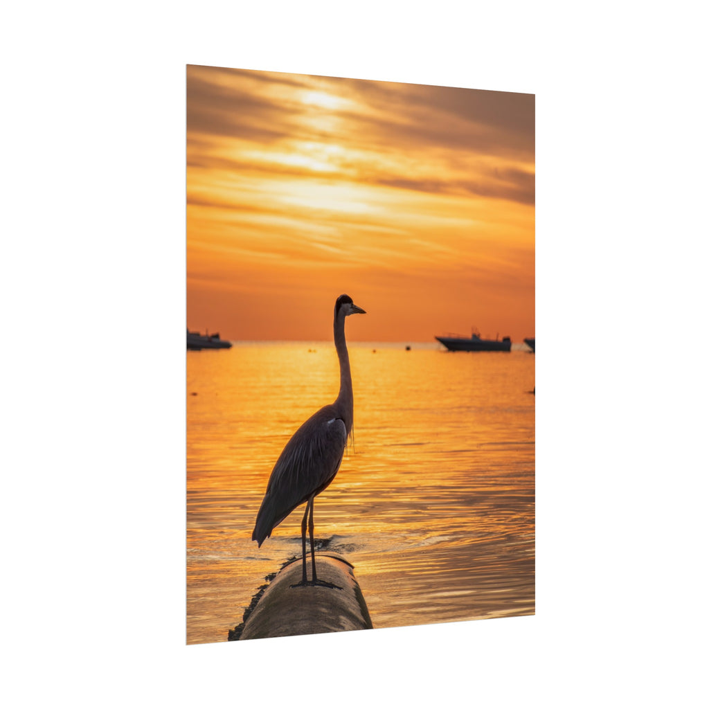 A Heron in Egypt Poster Printify
