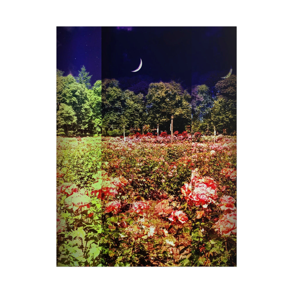 Moon and Roses Poster