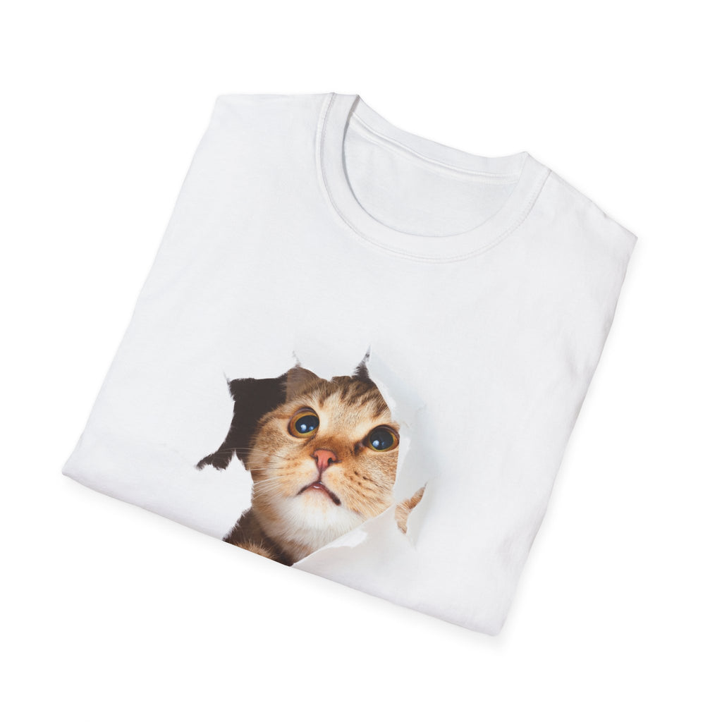 Curious Cat Shirt Printify