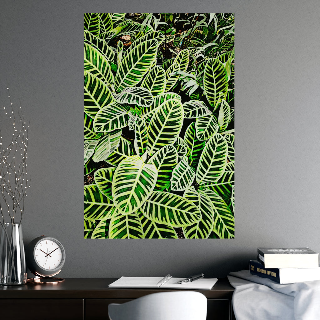 Plant Poster Printify